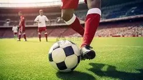 仁川WTT冠军赛激战！向鹏以3-0轻松击败世界第19，国乒开赛即告捷！