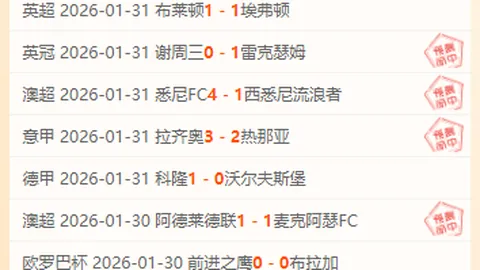 爱游戏体育娱乐